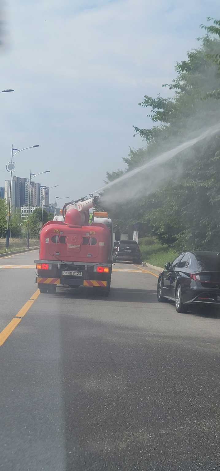 구리왕숙체육공원 가로수 등 수목 병해충 방제 작업(공원녹지과)(2026.6.17.)